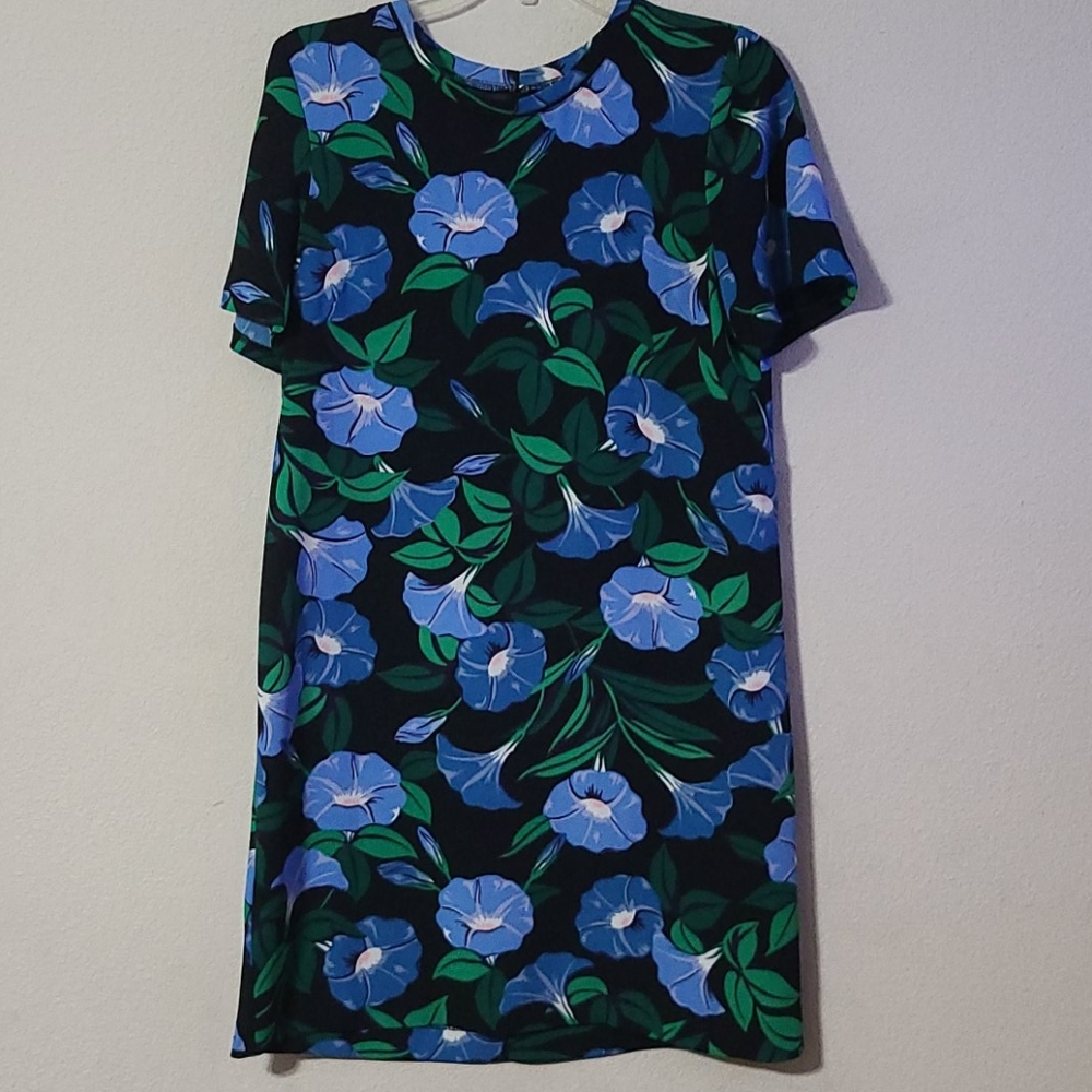 Ann Taylor dress